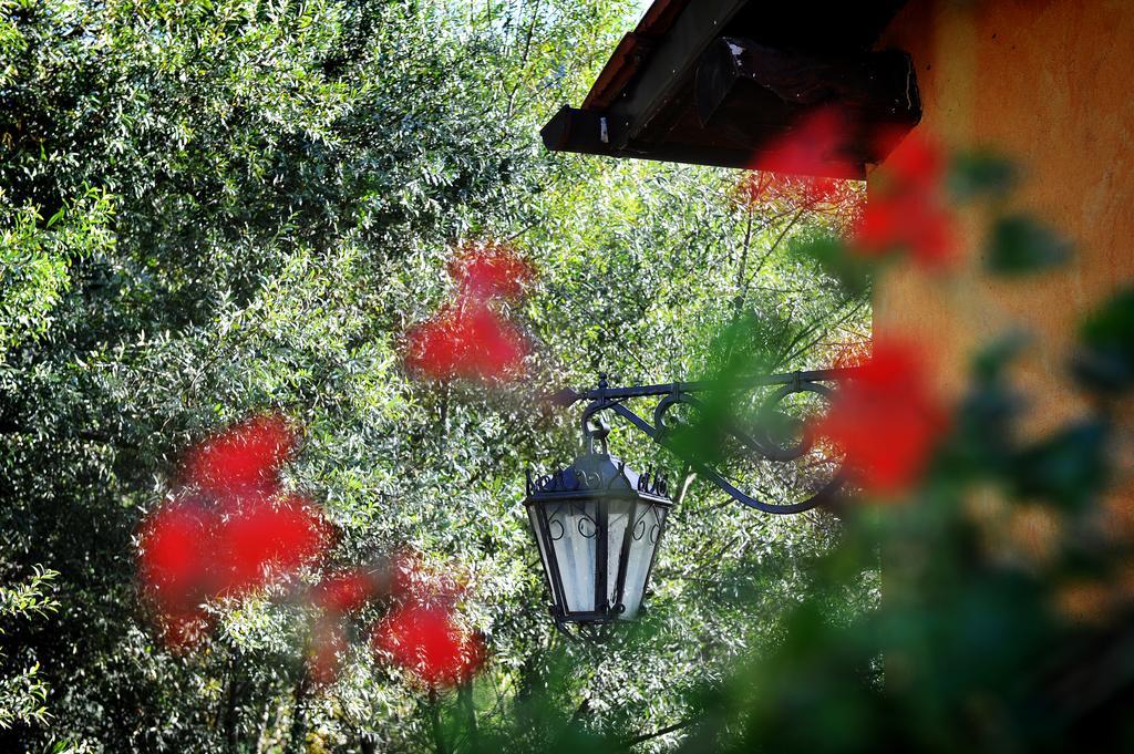 L'Antica Mola Villa Castel Madama Camera foto