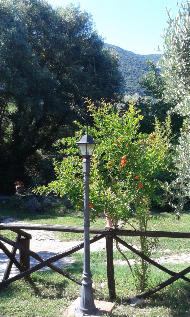 L'Antica Mola Villa Castel Madama Esterno foto